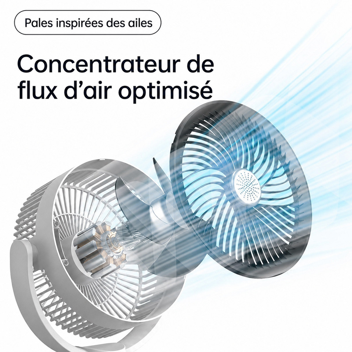 Pales du ventilateur E2