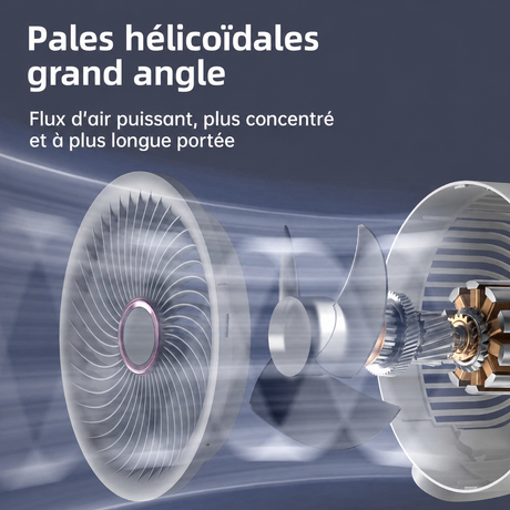 Pales du ventilateur F1